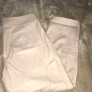 Ann Taylor loft Julie straight pant